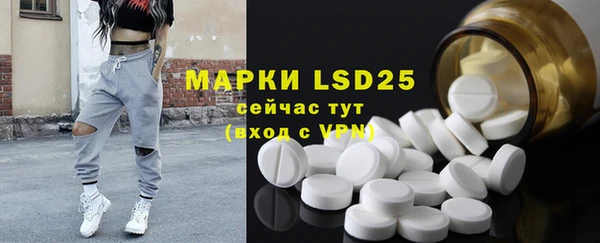 ГАЛЛЮЦИНОГЕННЫЕ ГРИБЫ Абаза