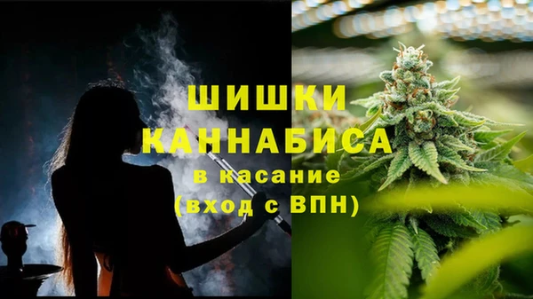 ГАЛЛЮЦИНОГЕННЫЕ ГРИБЫ Абаза