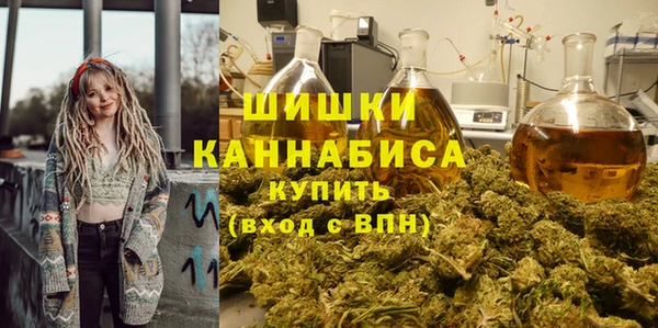 ГАЛЛЮЦИНОГЕННЫЕ ГРИБЫ Абаза