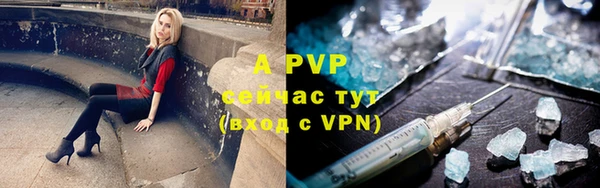 ГАЛЛЮЦИНОГЕННЫЕ ГРИБЫ Абаза