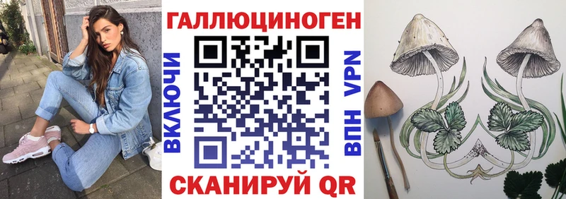 Псилоцибиновые грибы Cubensis Фрязино