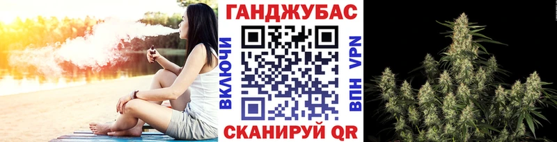 Конопля сатива  omg сайт  Фрязино 